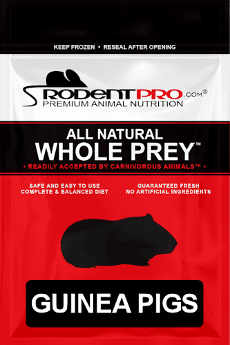 Frozen Feeders for Sale: Shop Online at RodentPro